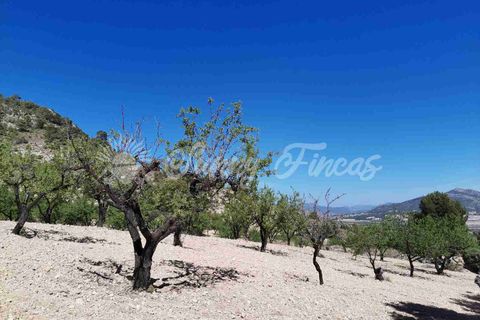Masia a Salinas, Alicante, Salinas - € 85.000 | Ref: SF0447 - foto 21